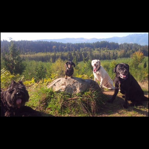 Meet your Posher, Martha Maria. - Picture 4 of 8